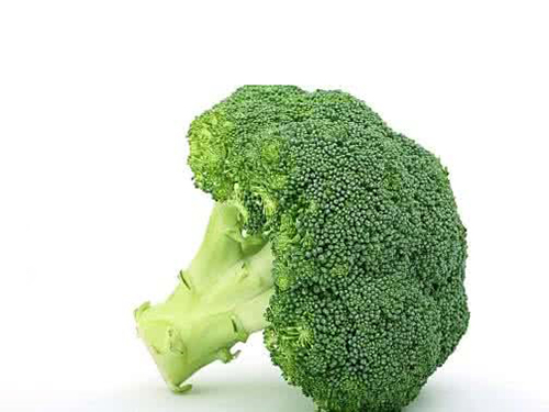 青瓜(图1) 青瓜(图1)