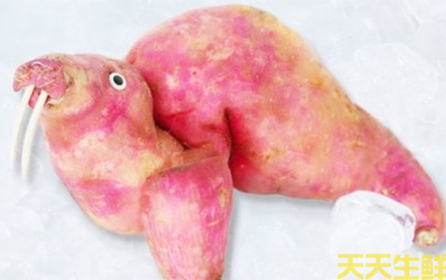 幼儿园蔬菜手工作业(图4) 幼儿园蔬菜手工作业(图4)