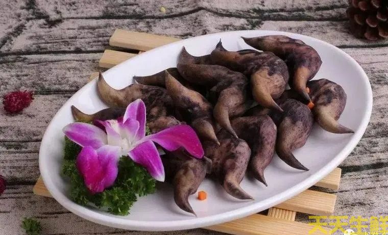 广州蔬菜配送公司告诉你,菱角怎么吃?(图2) 广州蔬菜配送公司告诉你,菱角怎么吃?(图2)