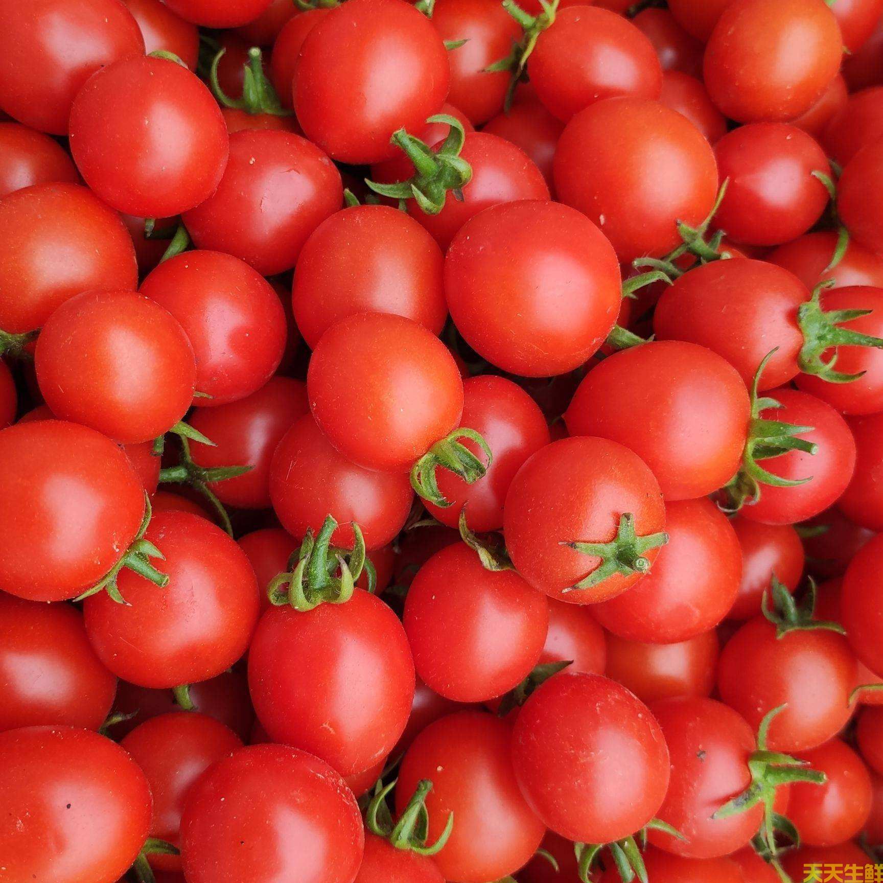 水果配送—圣女果(图2) 水果配送—圣女果(图2)